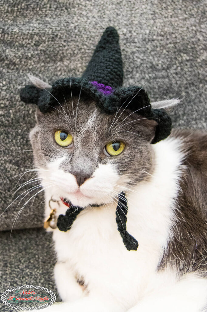 Cat Crochet Witch Hat Pattern Easy And Free Nicki s Homemade Crafts