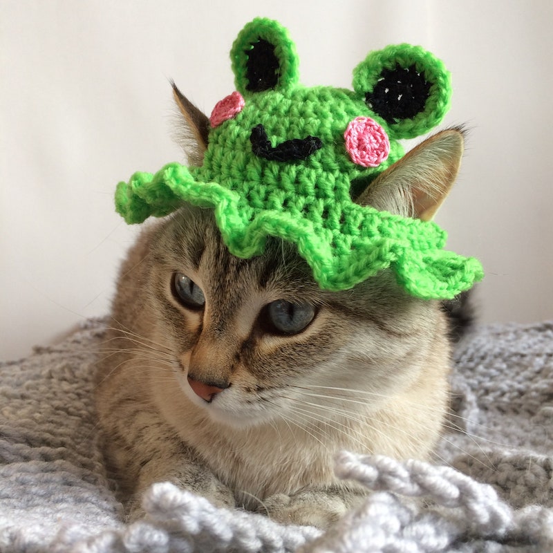 Crochet pattern 064 - Cat Strawberry Hat, Small Dog Strawberry Hat, Pet  Costumes, Halloween Cat Costume, Animal photo prop, Hats for cats