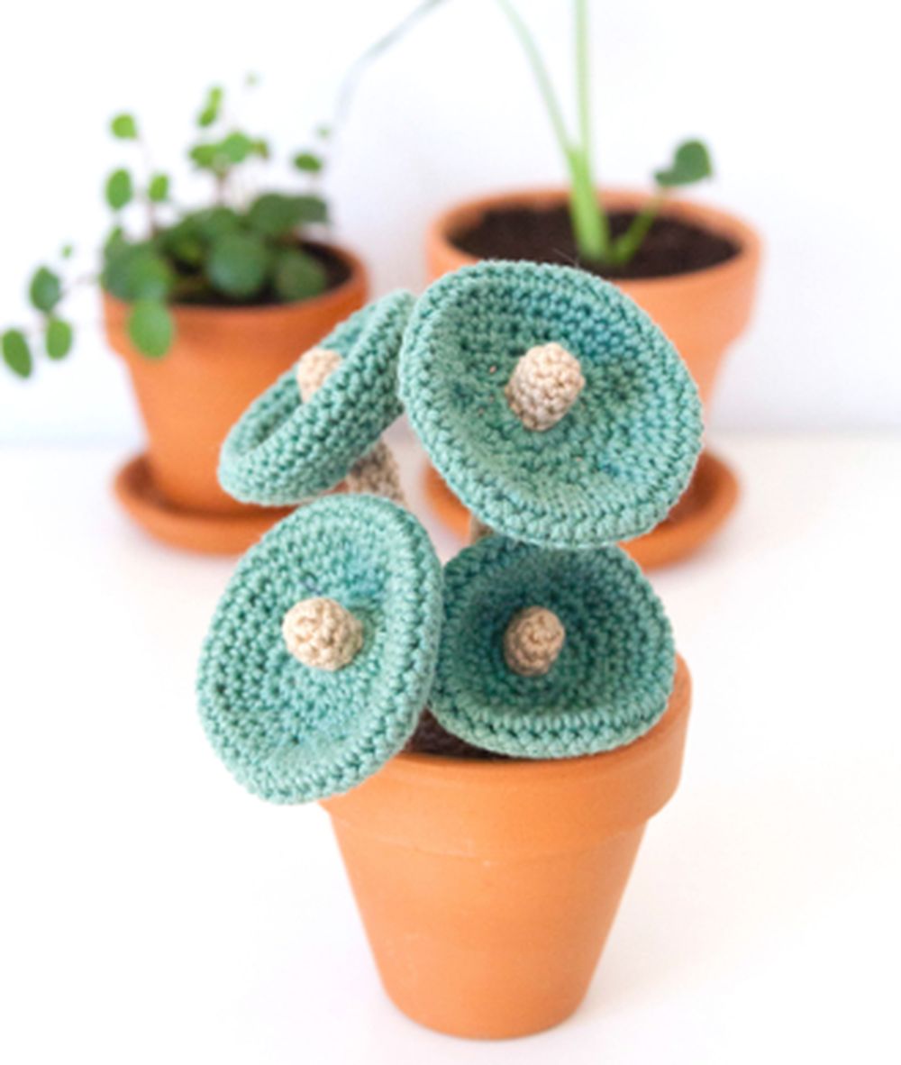 Free Beautiful Crochet Houseplant Patterns Nicki S Homemade Crafts